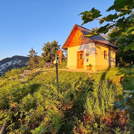 Апартаменти Ferien Am Sonnberg Ункен Екстер'єр фото